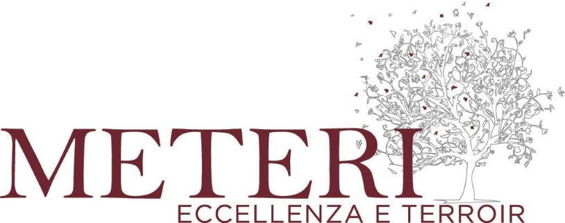 logo-Meteri