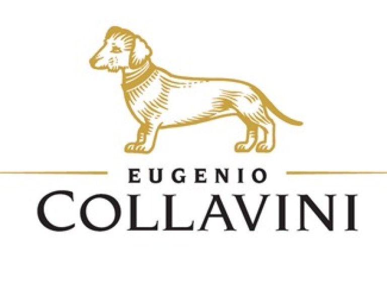 collavini-logo