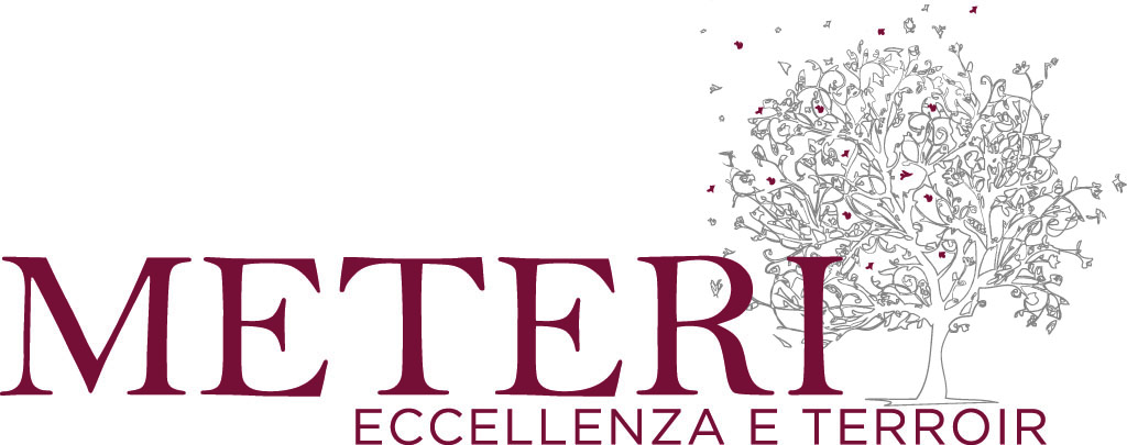 Logo Meteri ORIZZONTALE
