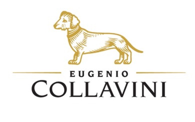 collavini-logo